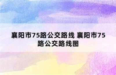 襄阳市75路公交路线 襄阳市75路公交路线图